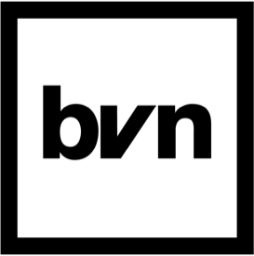 BVN Black Voice News